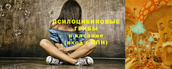 тгк Белокуриха