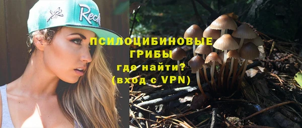 винт Белоозёрский